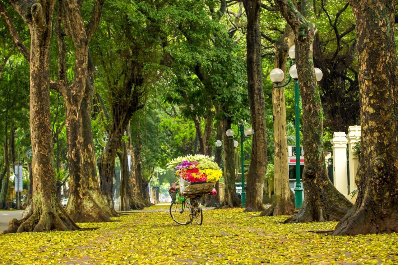 Hanoi Center Silk Hotel & Travel 외부 사진